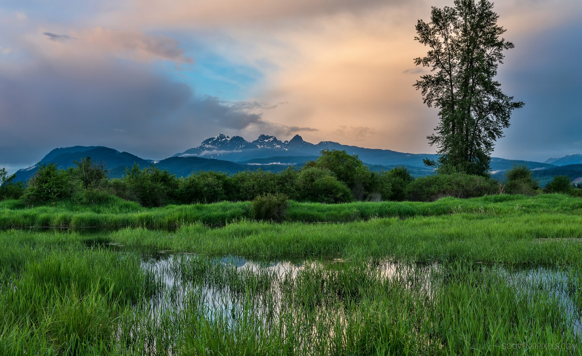 canada british columbia province mountain tree grass meadow lake sky cloud