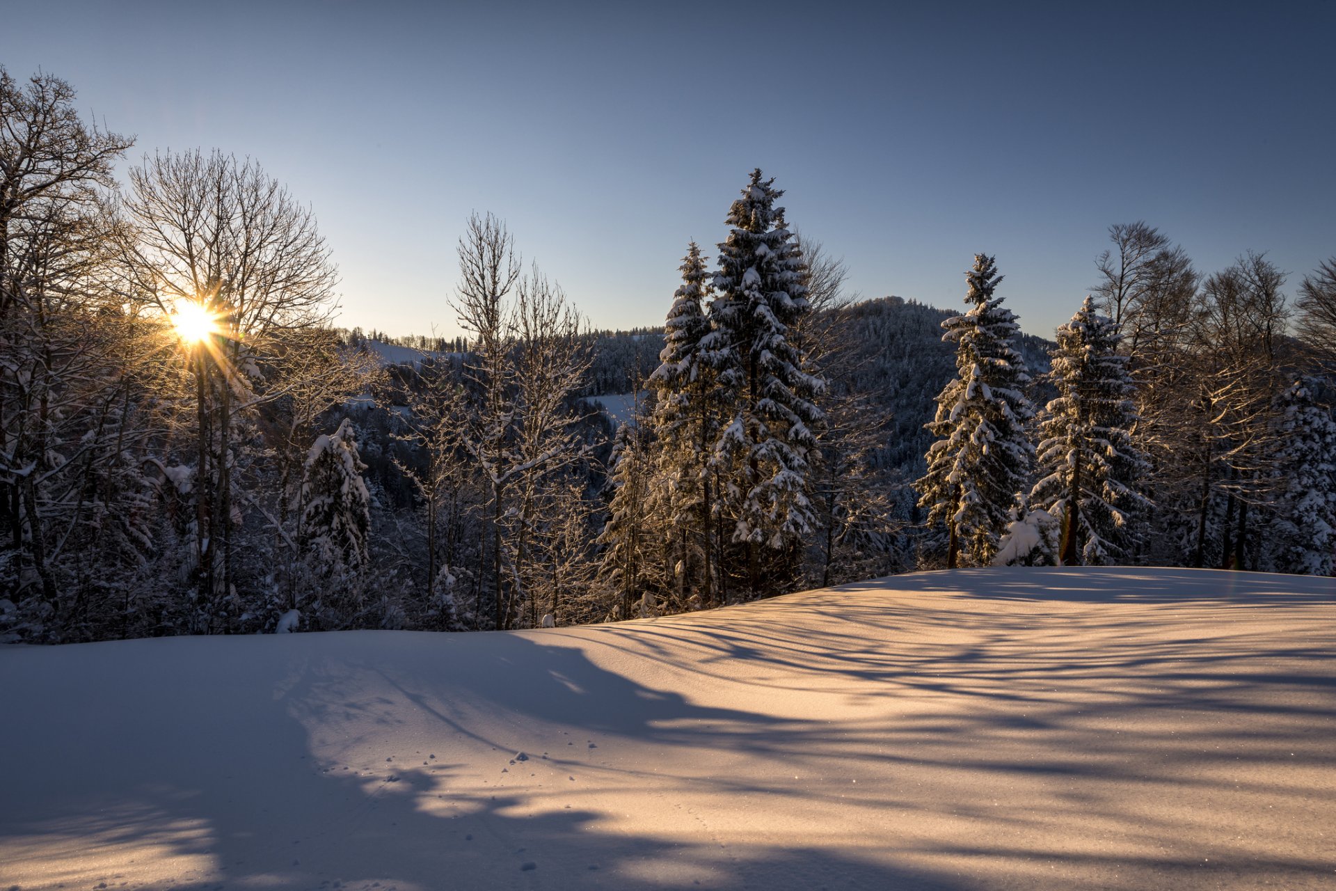 schweiz st. gallen hulftegg natur winter morgen sonne wald schnee philipp häfeli photography