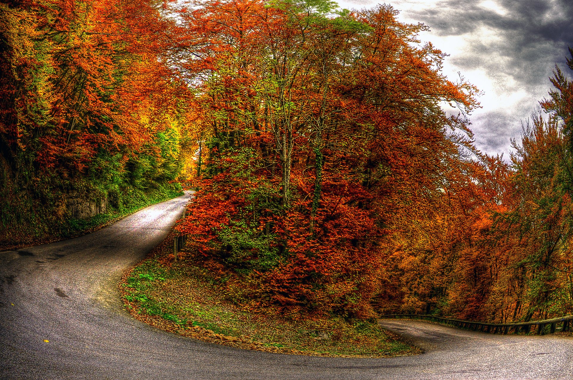 nature landscape sky clouds tree forest autumn road