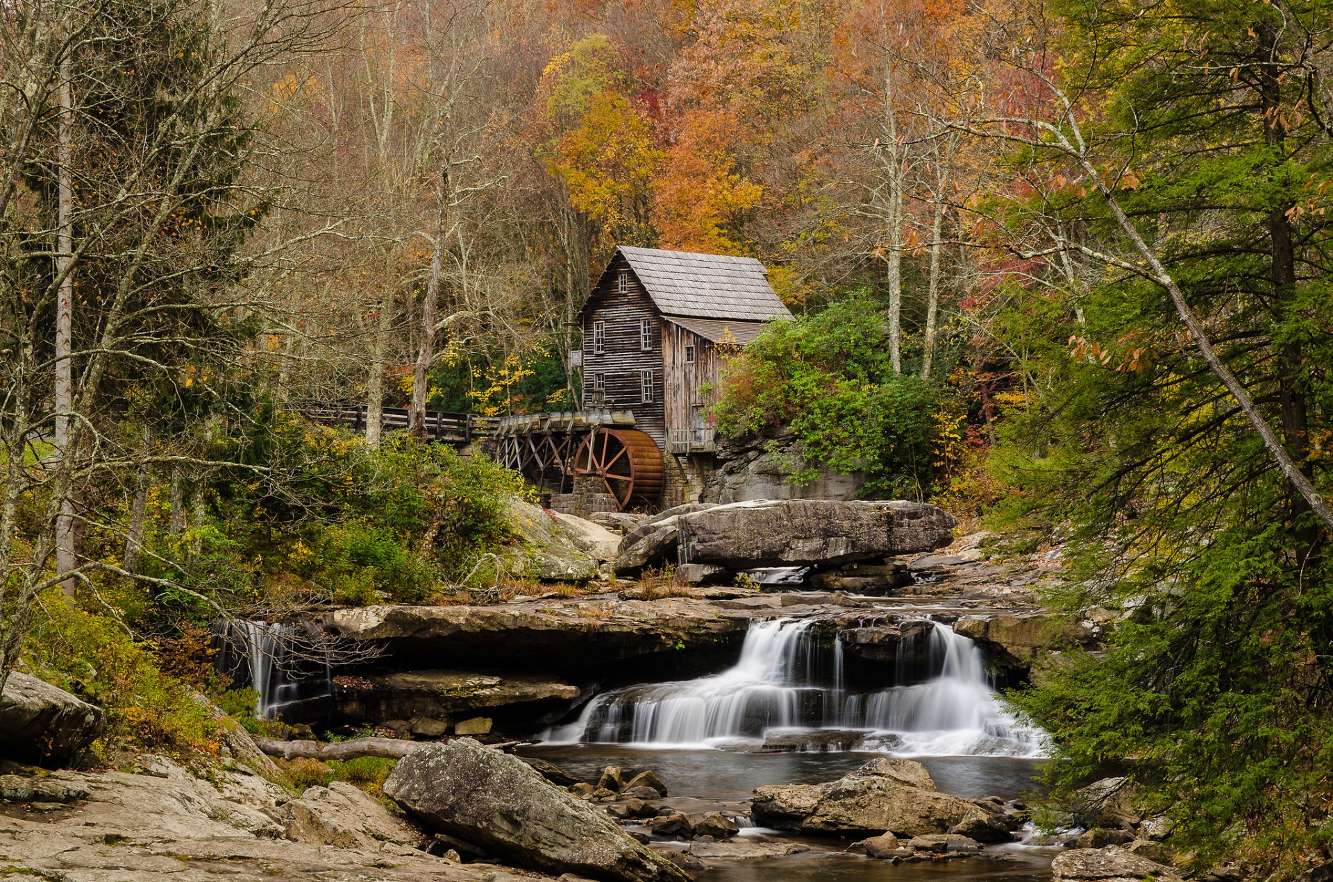 nature forest river flows water mill autumn