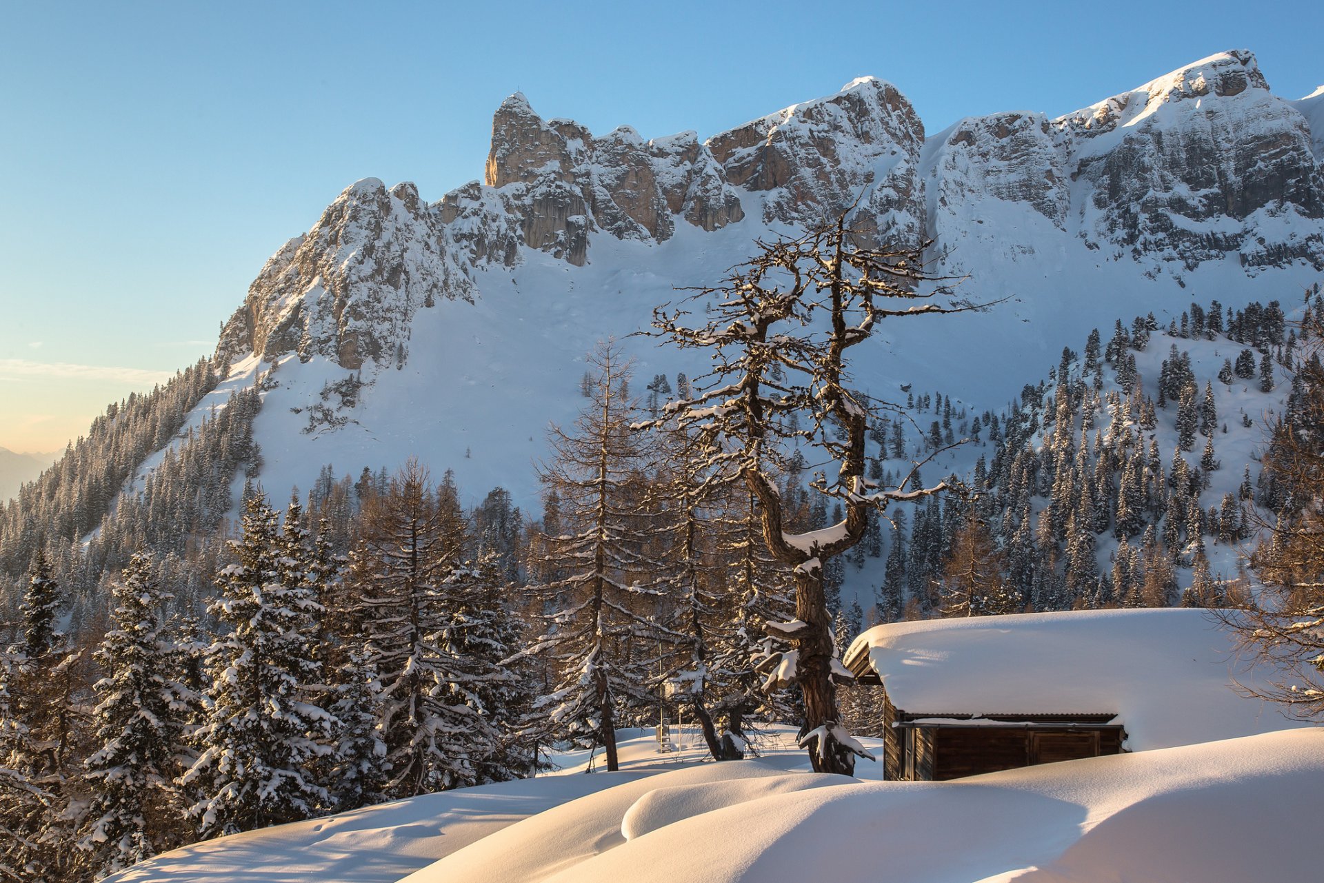 austria alpy góry śnieg zima las domek torsten muehlbacher fotografia