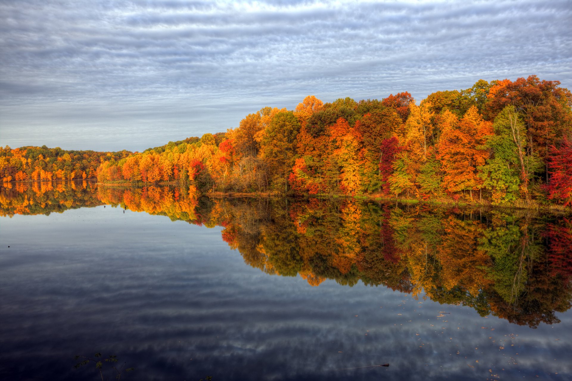 natura autunno colori acqua alberi cielo riflessi