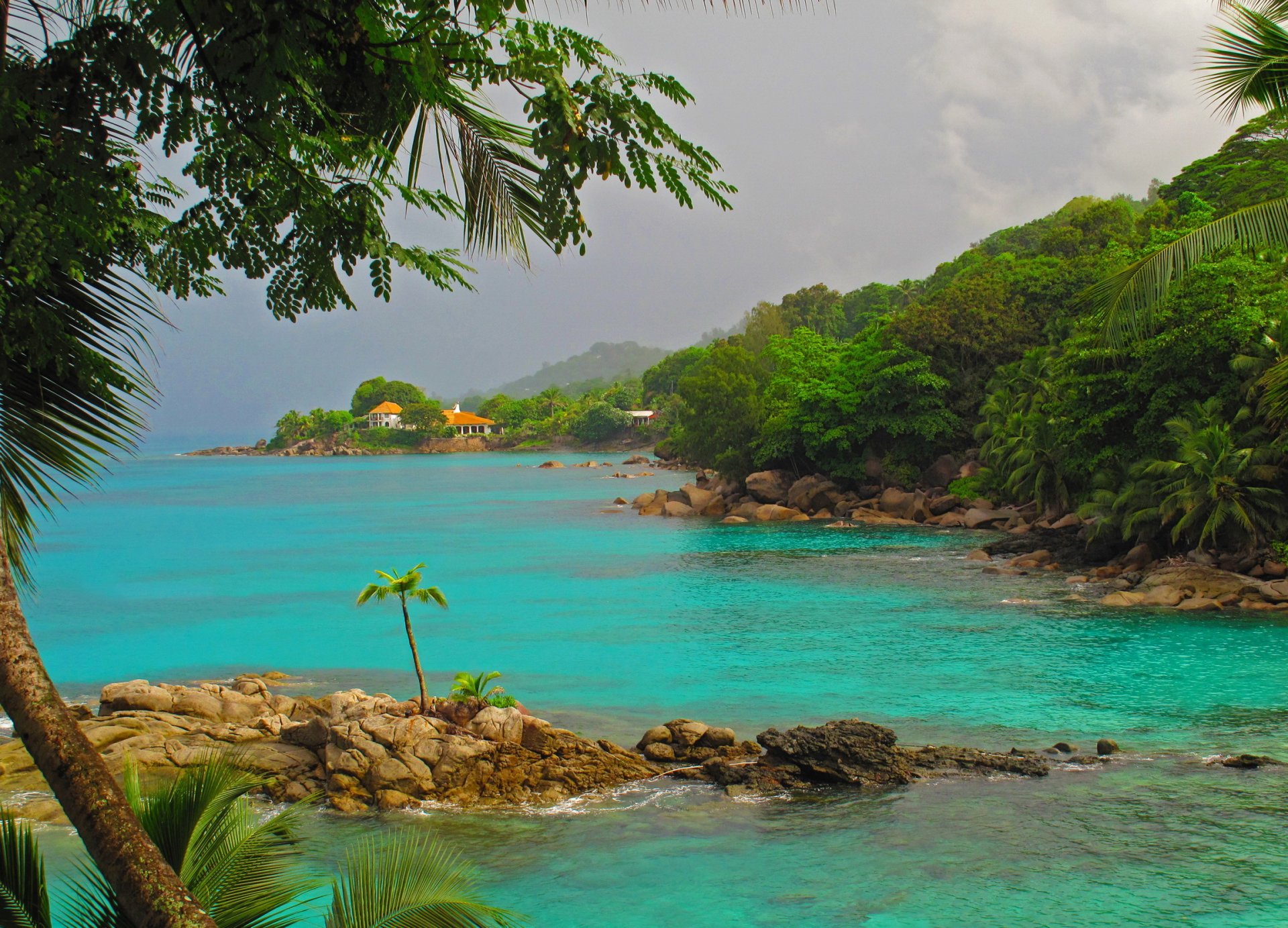 tropics island nature sea mountain palm stones tree house