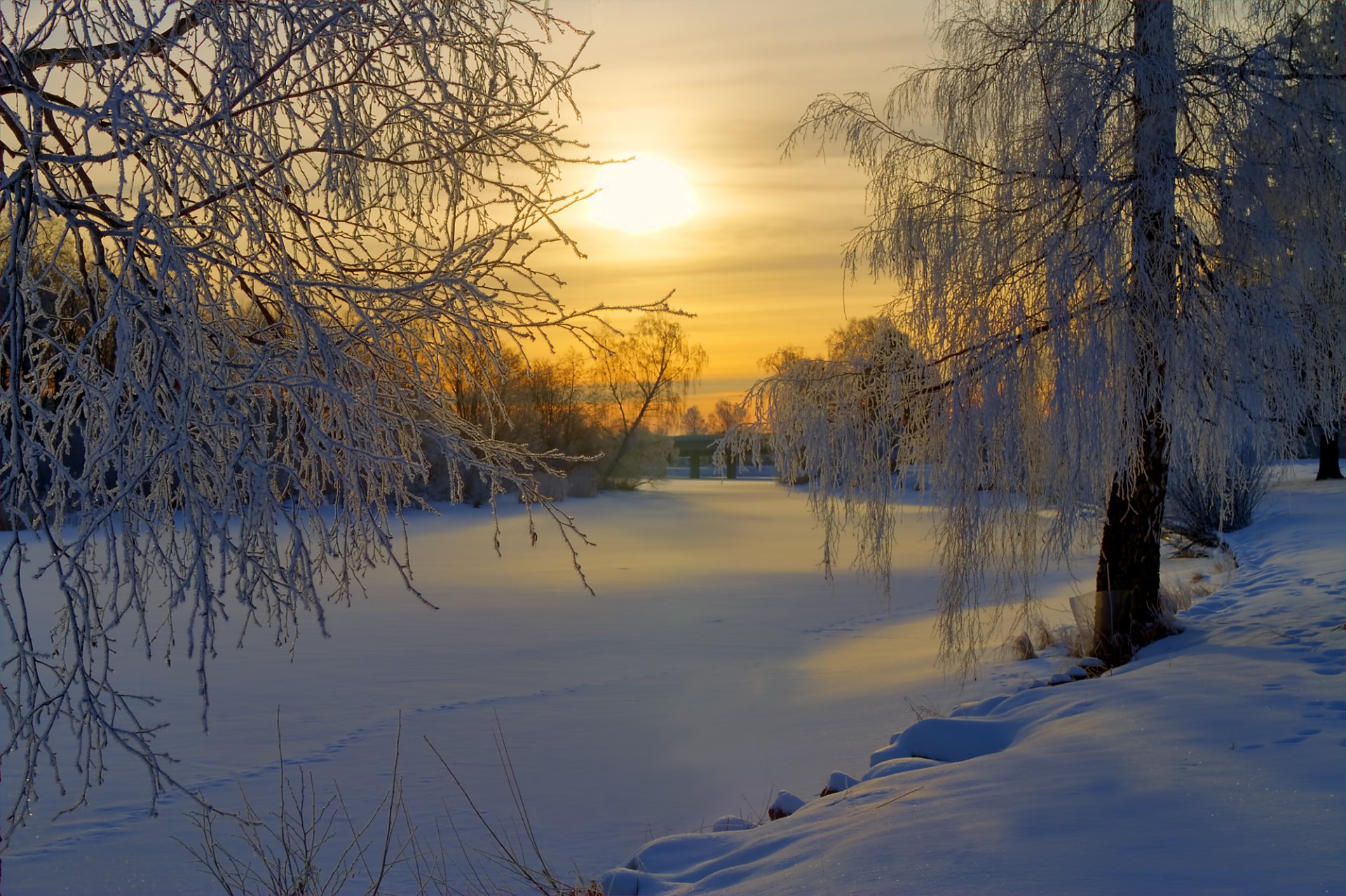 suède hiver neige givre forêt arbres clairière matin soleil lever du soleil