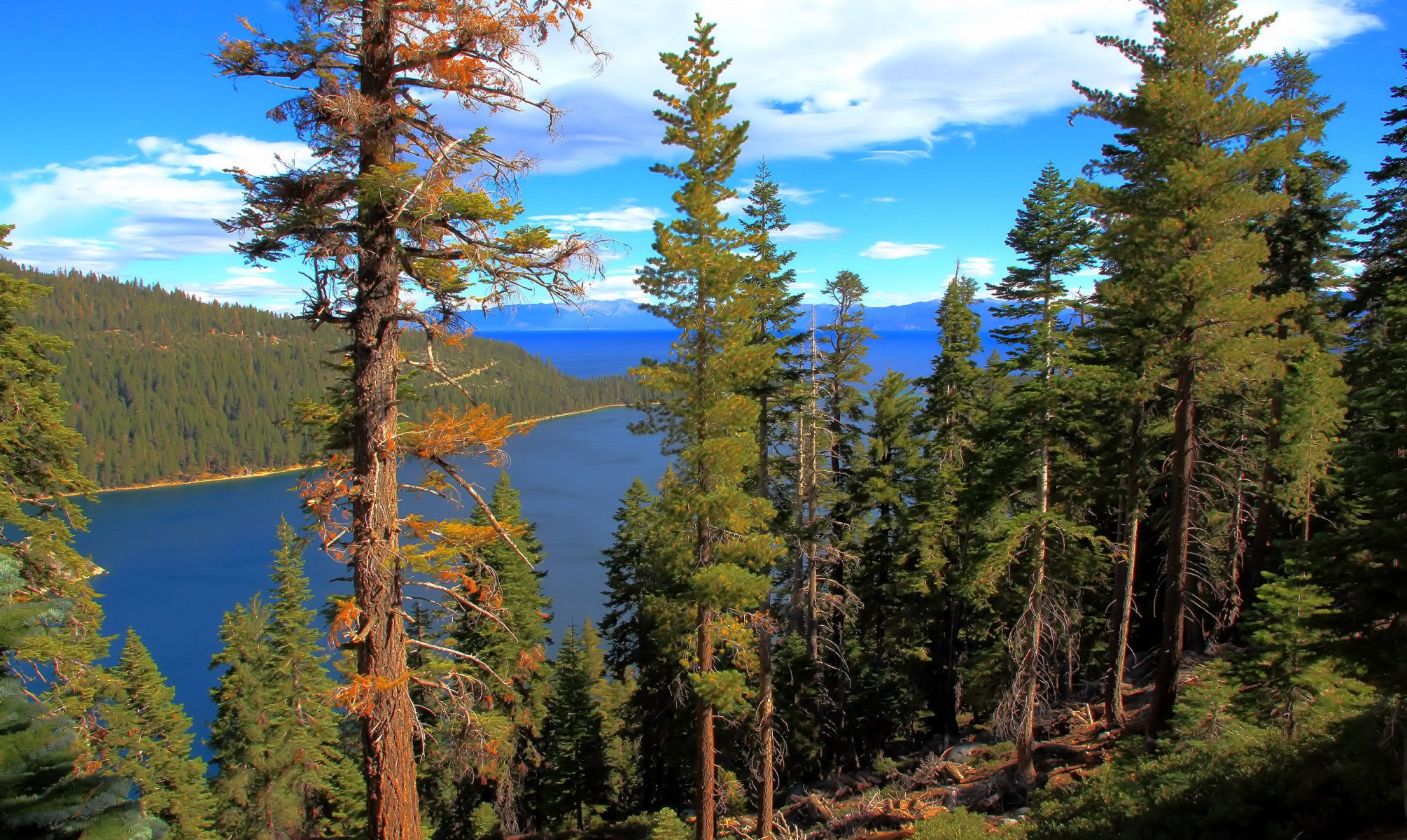 lago agua bosque lake tahoe california