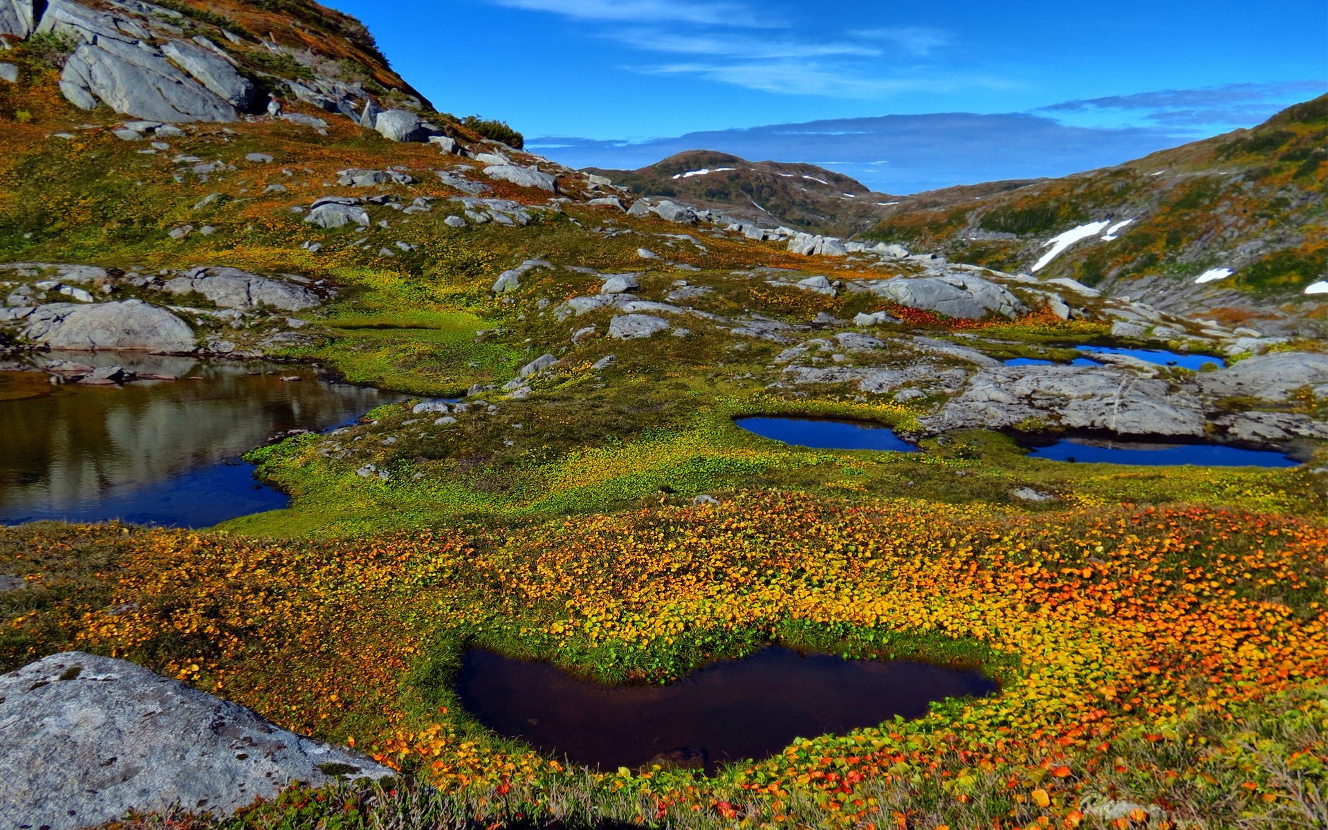 natura montagne lago stagno acqua piante pietre