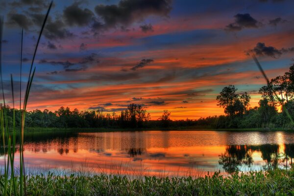 A bright sunset is reflected in the water of a forest lake