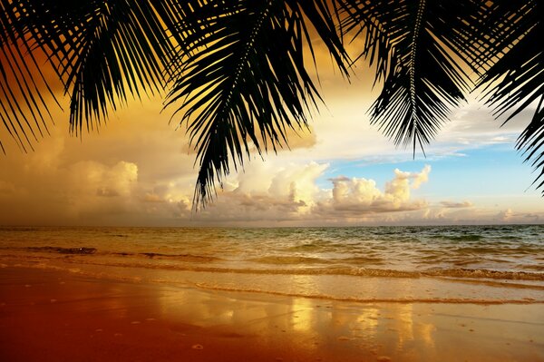 Playa tropical con hermosa puesta de sol