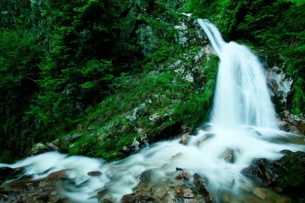 A white waterfall flows over the rocks in the midst of a dense green forest