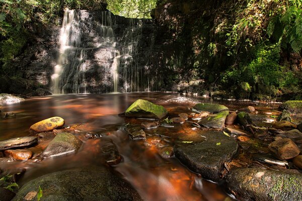 Tauche diesen Sommer in einen Wasserfall ein