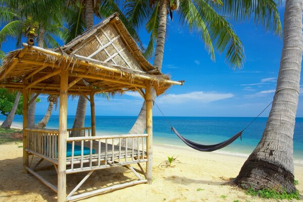 Seashore with hammock and palm trees