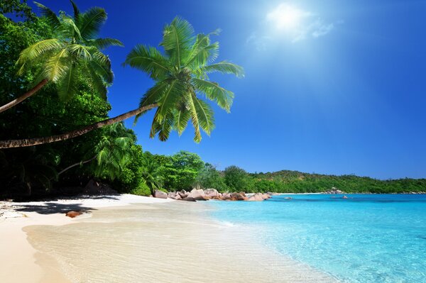 Sandy beach near the sea