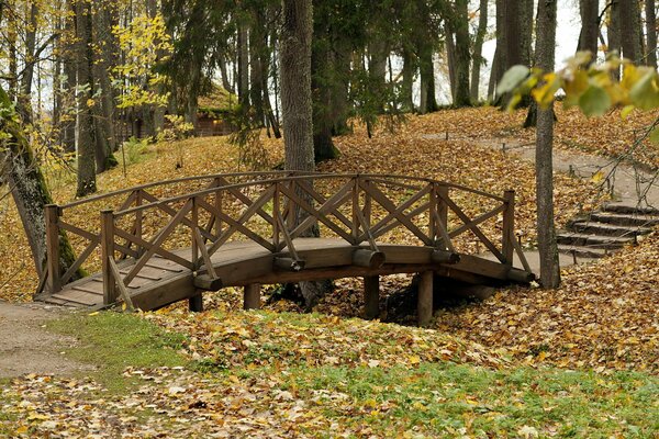 Park jesienią: most liście drzewa