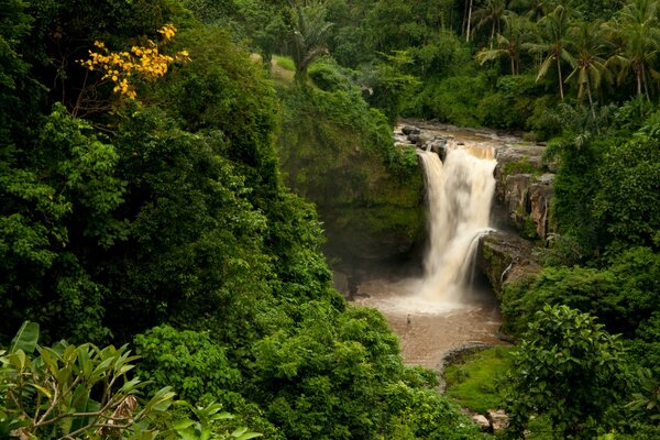 Die wilden Schönheiten der indonesischen Wasserfälle