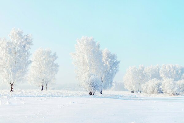 A beautiful place in winter around the snow