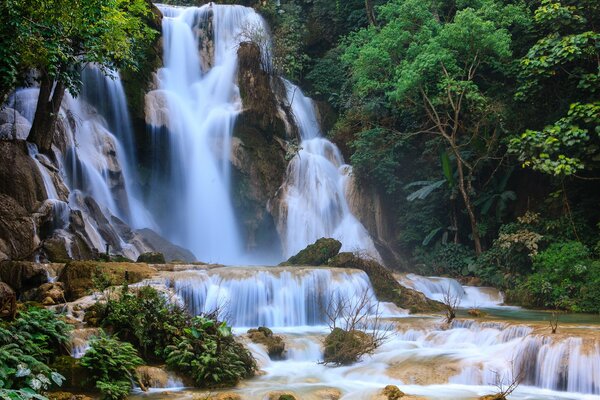 Haute cascade entourée de verdure