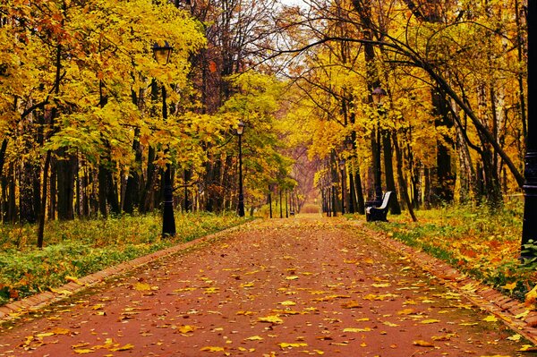 Banc solitaire dans le parc d automne