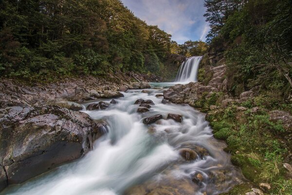 Cascada en los bosques de nueva Zelanda