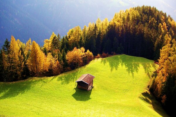 Casa nel mezzo della radura. Giornata di sole