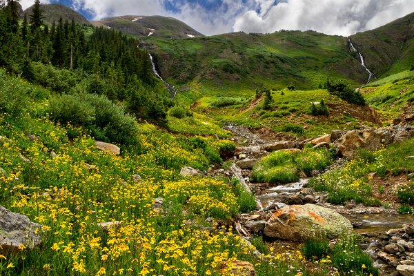 Montañas de campo con caetas y árboles