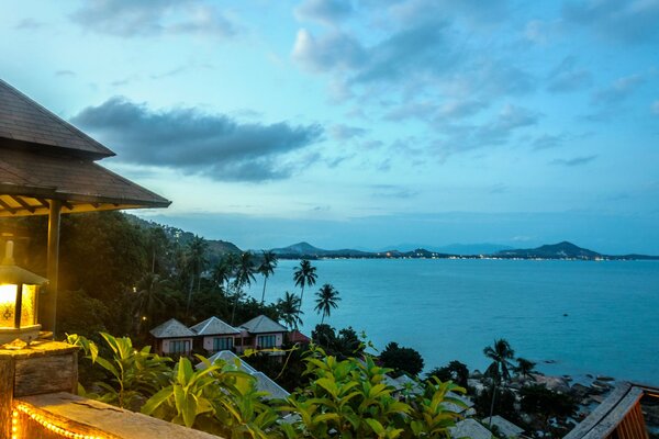 Evening view of the house with palm trees