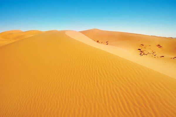 Yellow desert, illuminated by the sun