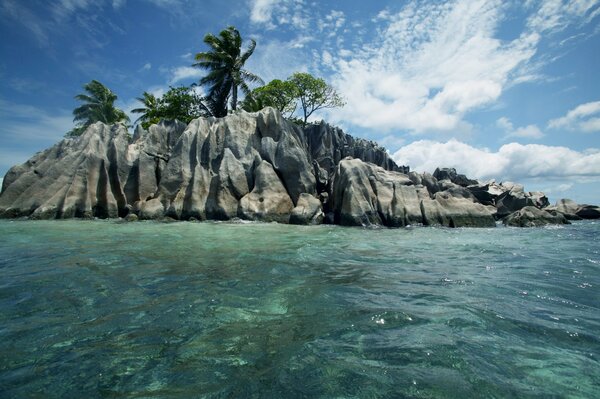 Eine exotische Insel. Meer und Palmen