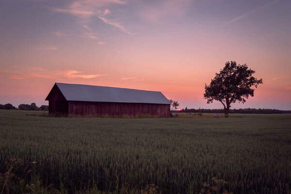 Coucher de soleil sur une ferme en Suisse