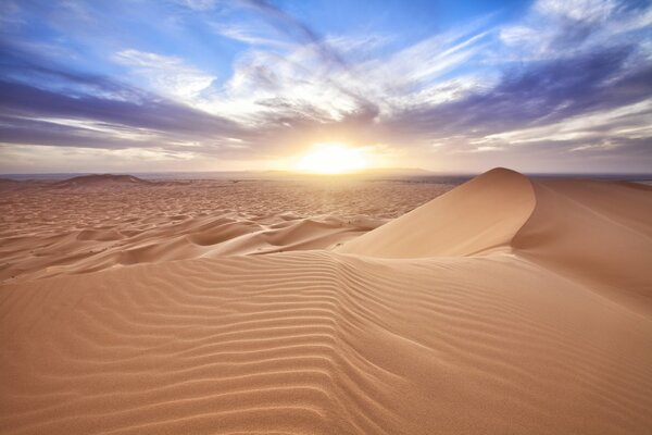 Sfondi del deserto