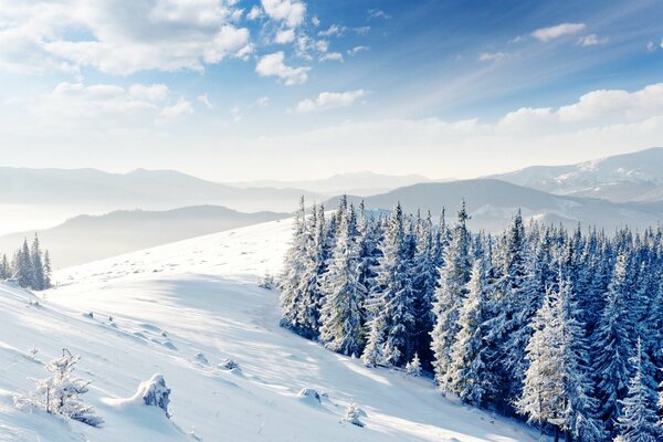 Hermoso invierno suave entre la naturaleza