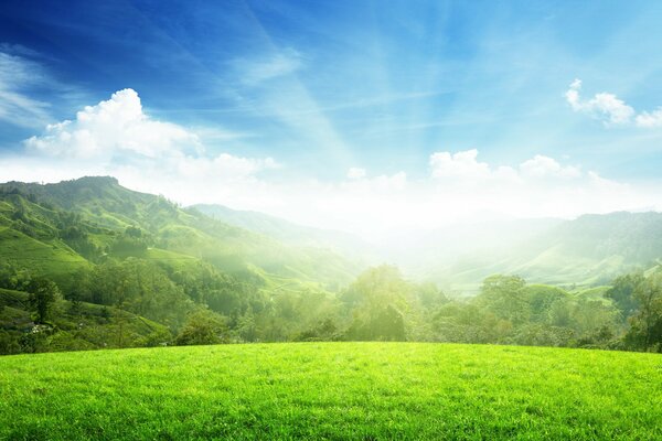 Landschaft mit Bäumen an den Hängen der Hügel