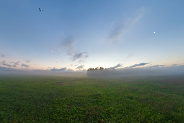 Avión en la niebla de la mañana