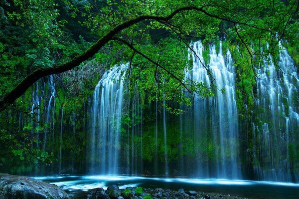 Una hermosa cascada en Carolina del Norte