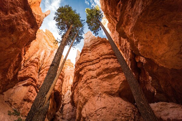 Parque nacional del cañón de Utah Estados Unidos