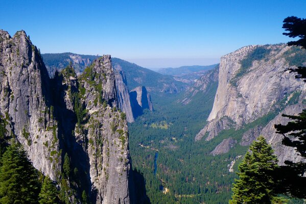 Berge und Wald im Yosemite Nationalpark