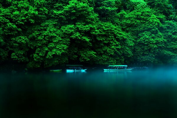 Colori vivaci dell Isola di Honshu