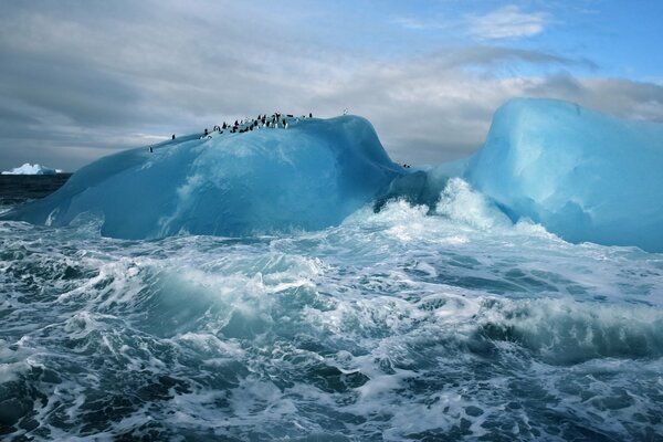 Breaking water on Arctic ice