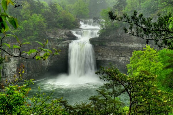 Wasserfall im Wald. Grüne Bäume