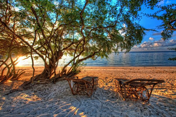 A pair of carved chaise lounges stand on a trampled sandy shore near a wicker tree and a river behind which the sun sets