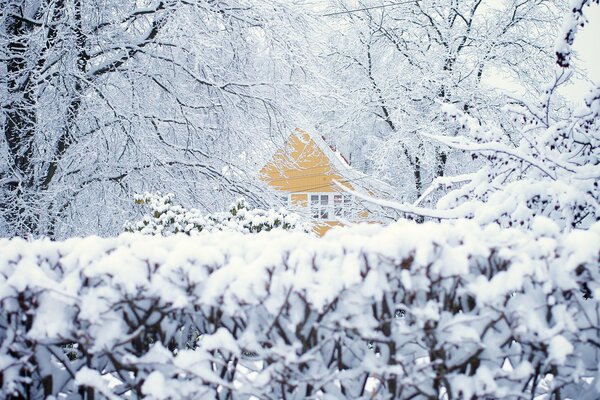 Ein einsames Haus in einem verschneiten Winterwald