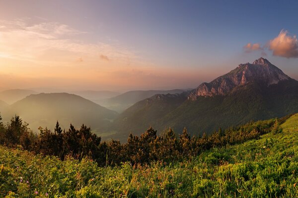 Niedrige Sonne über Feld und Bergen