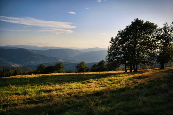 A soothing photo of the evening walking in the rays of sunset