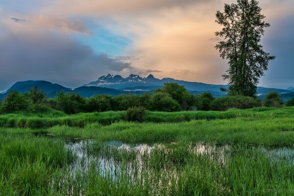 Meadows in the province of Canada and a lake