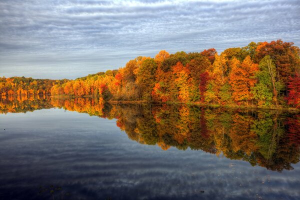 Arbres colorés d automne au bord de l eau