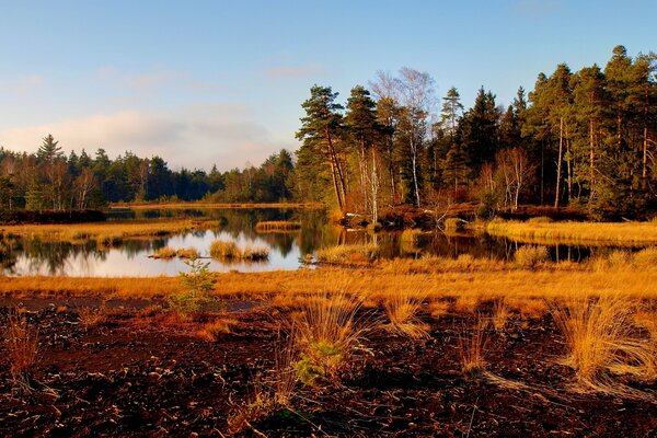 Autumn landscape with lake and trees