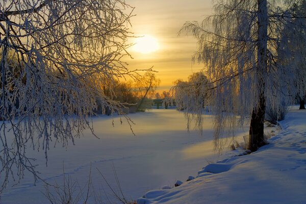 Winter Sweden sunrise morning