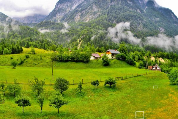 Endless green meadow with cozy houses