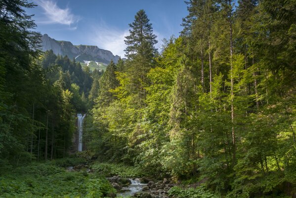 Incredible view of the Alpine mountains and waterfall