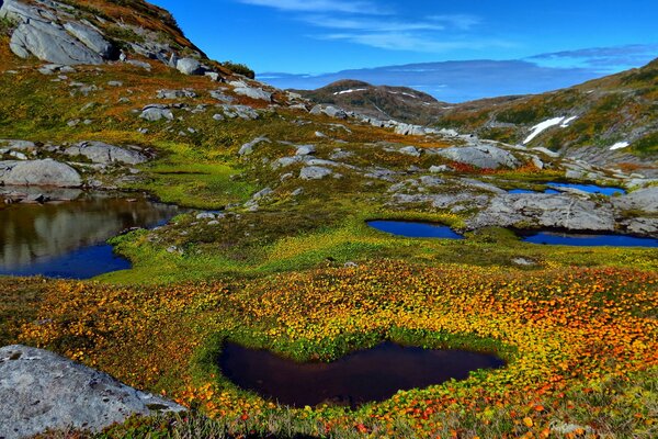 Étang de montagne parmi les pierres