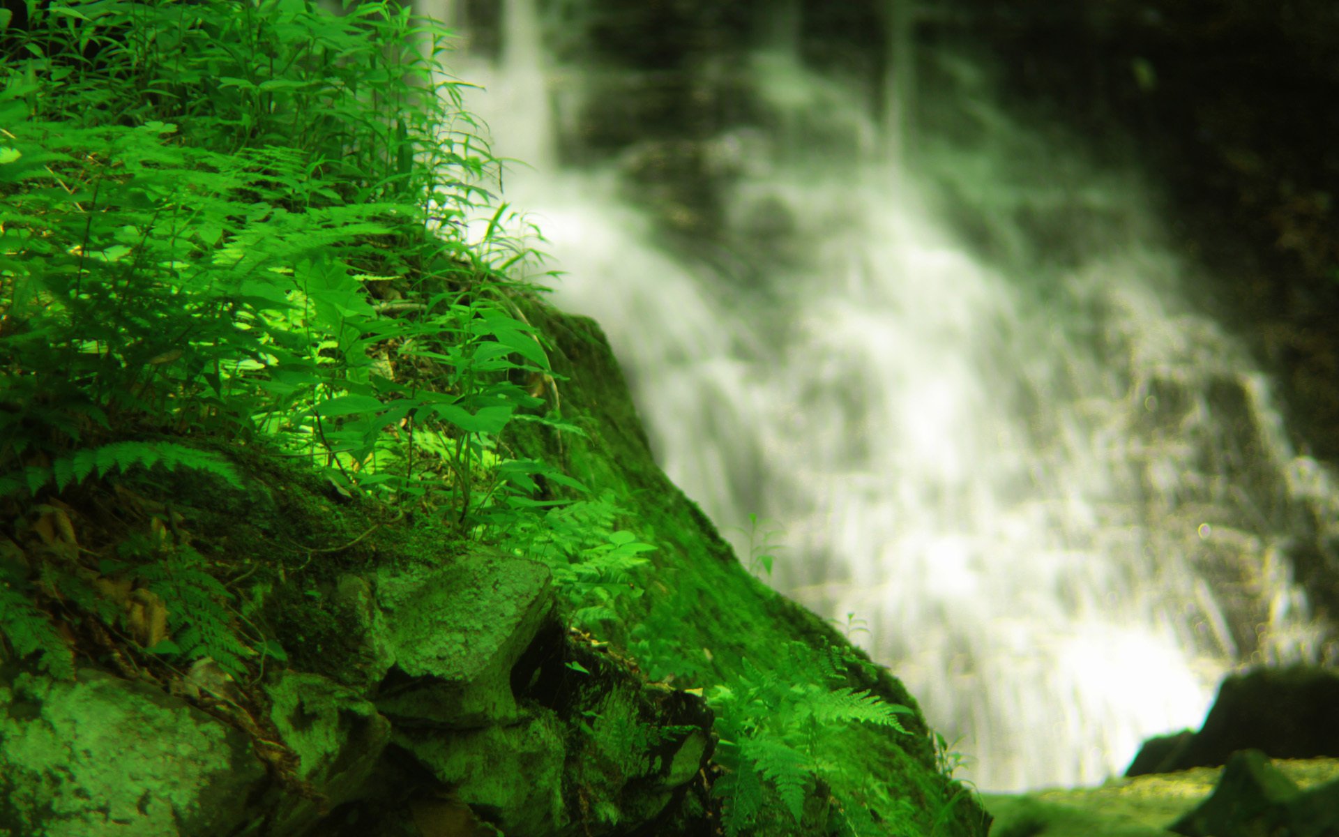 wasserfall wasser felsen gras pflanzen moos grüns